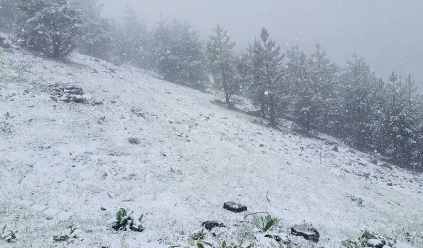 İlkbahar'da kış geri döndü: Mayıs'ta beyaz sürpriz 4