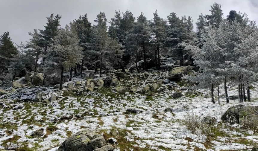 İlkbahar'da kış geri döndü: Mayıs'ta beyaz sürpriz 2