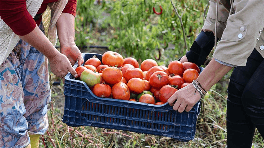 Türkiye'nin 21 lezzeti artık AB tescilli 15