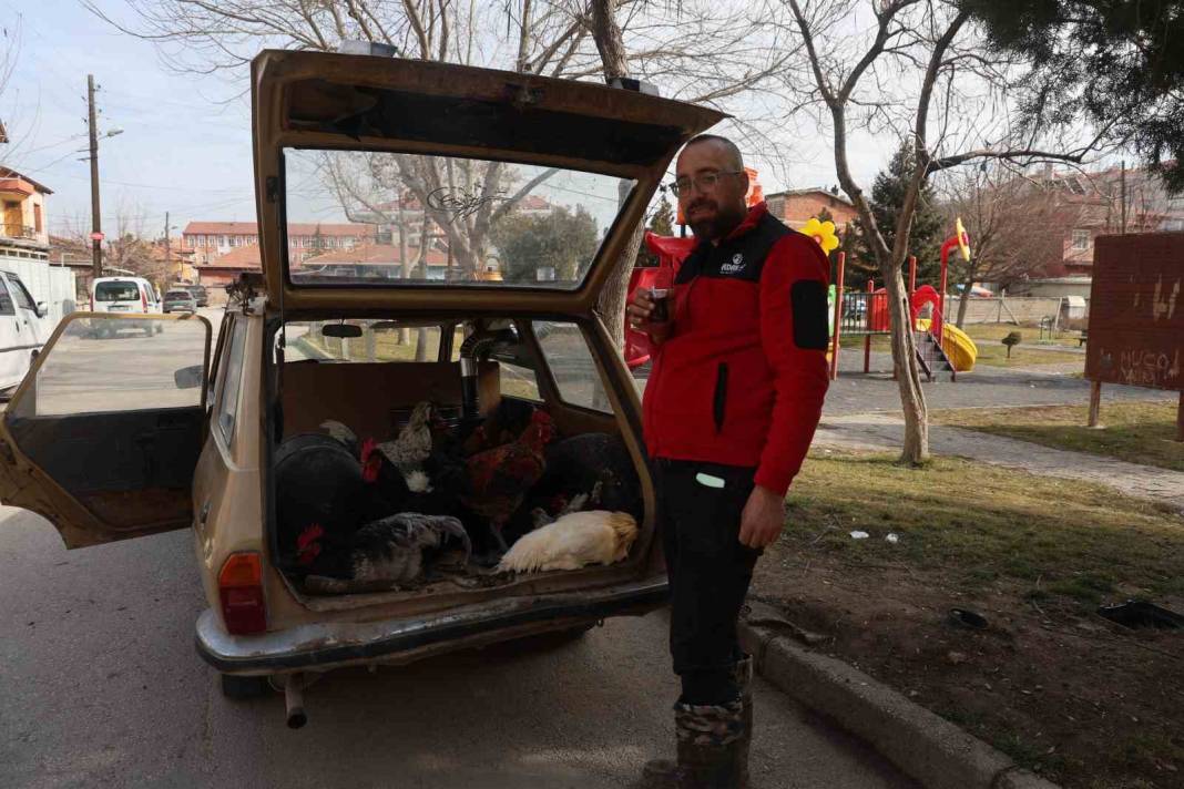 Hakiki gezen tavuklar bulundu: Otomobilde saatlerce dolaşıyorlar 2