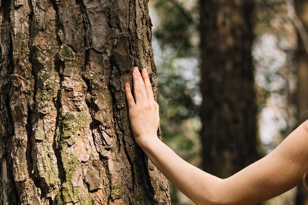 Ormanda kaybolursanız ne yapmalısınız? Hayatınızı kurtaracak altın kurallar 7