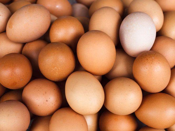 Kahverengi yumurta satışı yasaklanacak: Sağlıksız mı? Nedeni belli oldu 5