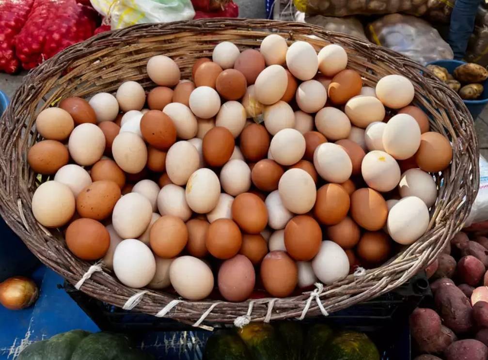 Kahverengi yumurta satışı yasaklanacak: Sağlıksız mı? Nedeni belli oldu 1