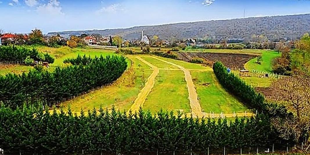 Yeni gözde şehirler ortaya çıktı! Türkiye’nin bu 8 ili altından daha fazla kazandırıyor 6