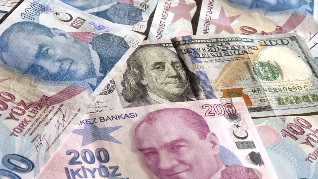 Mert Başaran: Dolarla değil molozla zengin olacaksınız 11