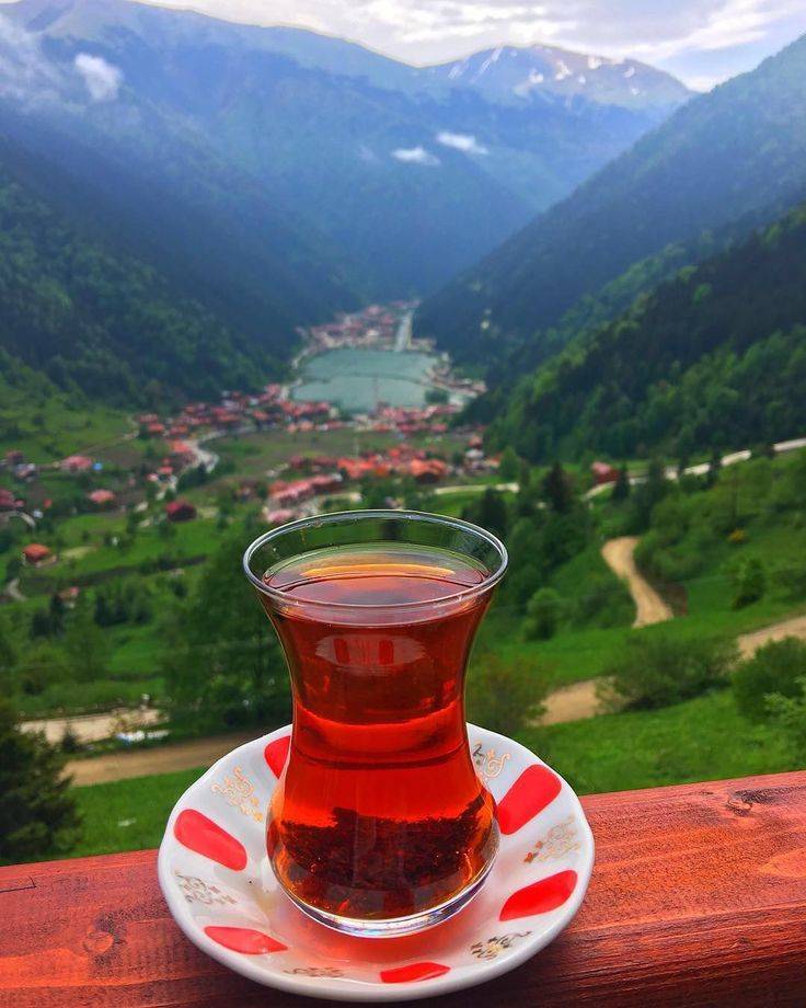 Türkiye'de çayı en çok tüketen illerin sürpriz listesi ortaya çıktı: Karadeniz ilk 20'de yok 16