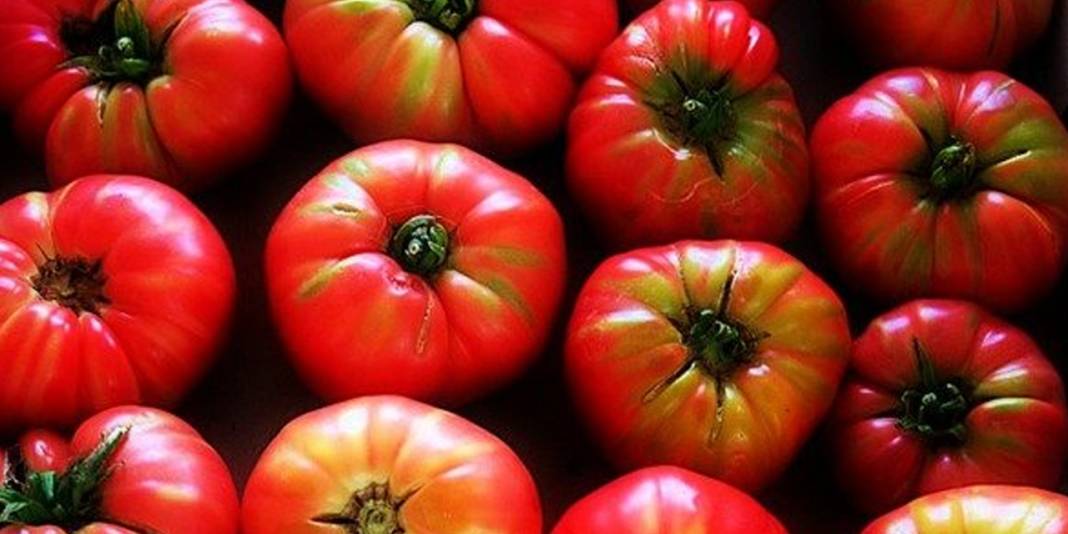 Domatesteki bu çizgilere dikkat! Pestisit kalıntısı olabilir 6