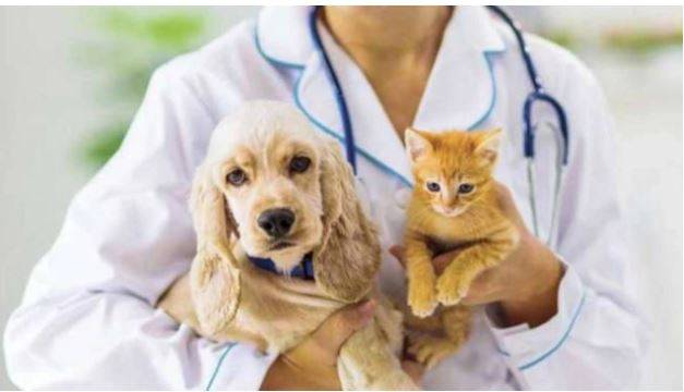 En hızlı iş bulan 15 meslek ve ortalama aylık maaşları! Tüm ezberleri unutun 17