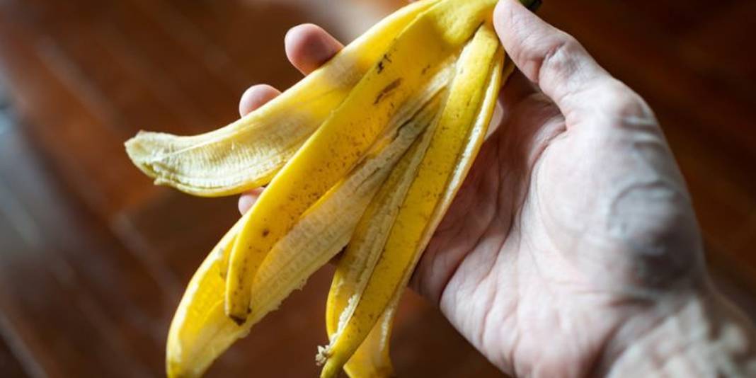 Bu meyvenin kılçığı ve kabuğu şifa kaynağı çıktı! Asla çöpe atmamalısınız... 5