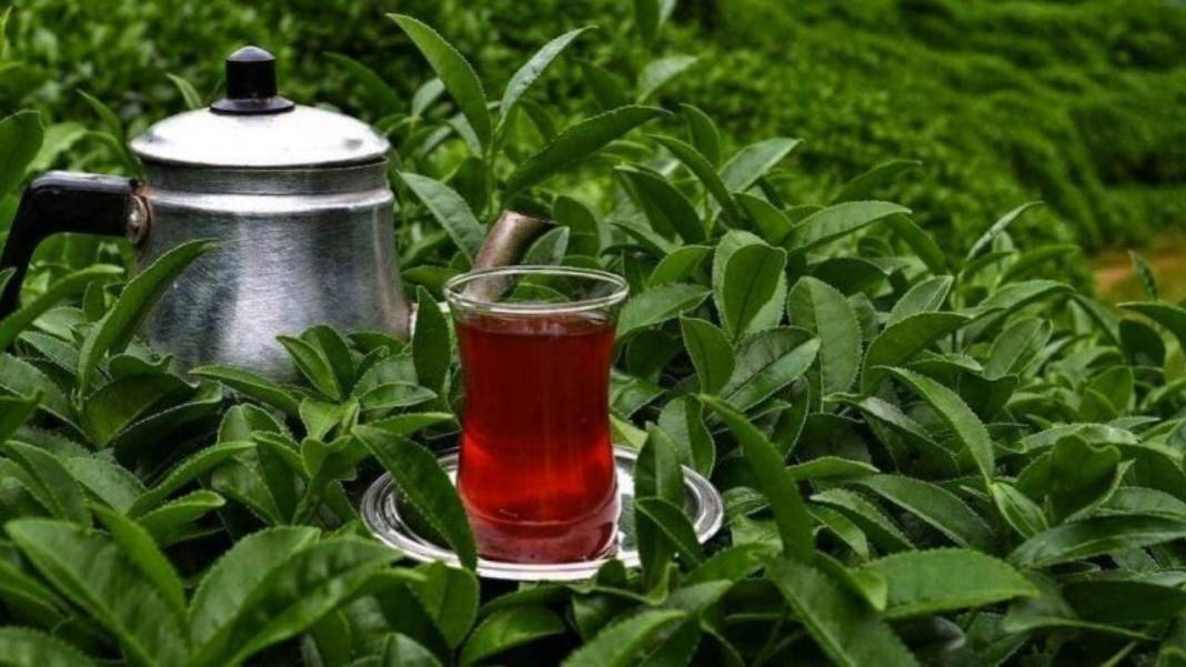 Türkiye'de çayı en çok tüketen illerin sürpriz listesi ortaya çıktı: Karadeniz ilk 20'de yok 20