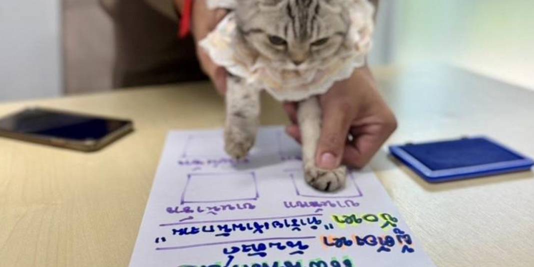 Sabıkalı kedi sosyal medyada gündem oldu! Polisleri ısırdı, pati izi alındı 2