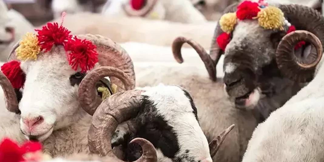 Turizmciler ve çalışanları heyecanlandıran iddia: Kurban Bayramı tatili 10 gün mü olacak? 4