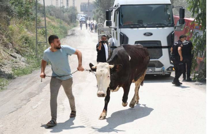 Hatay, Bilecik ve İzmir yangınlarında son durumu Ali Yerlikaya açıkladı: 50 bin vatandaşımız güvenli bölgelere alındı 4