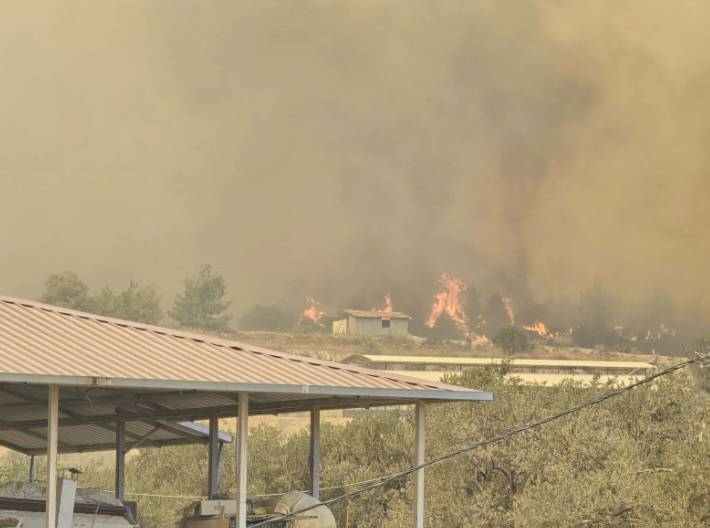 Hatay, Bilecik ve İzmir yangınlarında son durumu Ali Yerlikaya açıkladı: 50 bin vatandaşımız güvenli bölgelere alındı 6