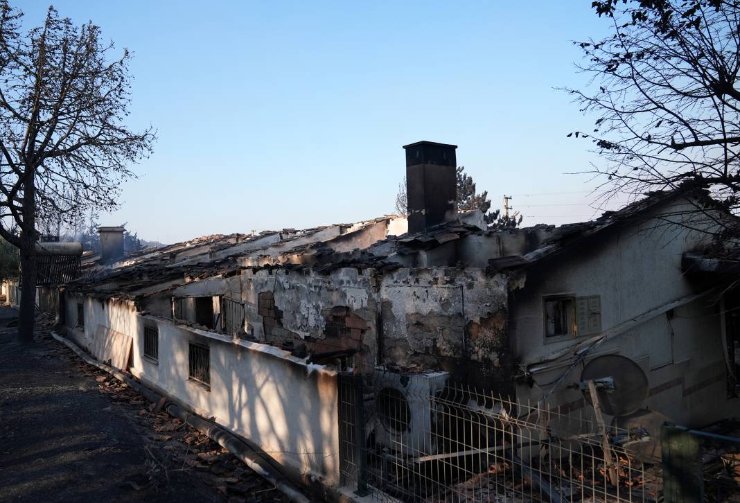 İzmir'de yangın felaketi: Seferihisar'da yazlık siteler küle döndü 8