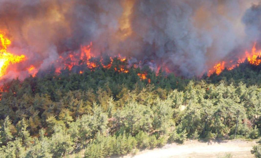 Hatay alev alev: Yangın evlere ulaştı 5