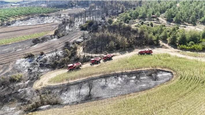 Tekirdağ'dan Çanakkale'ye sıçrayan ve 37 saat süren orman yangını sonrası kahreden manzara! Tam 119 futbol sahası büyüklüğünde.. 11