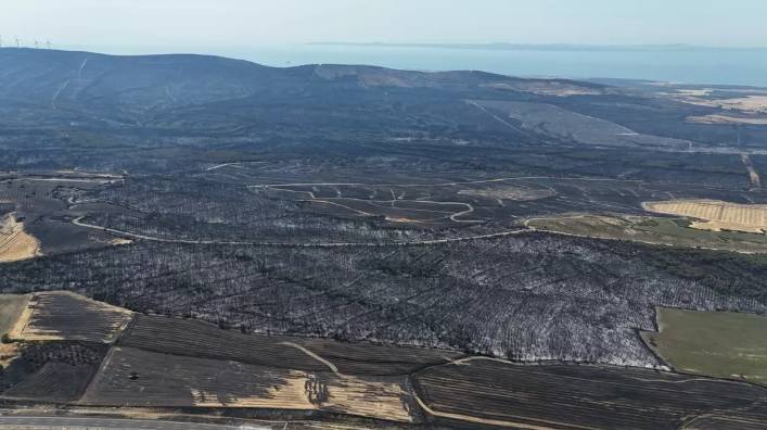 Tekirdağ'dan Çanakkale'ye sıçrayan ve 37 saat süren orman yangını sonrası kahreden manzara! Tam 119 futbol sahası büyüklüğünde.. 5