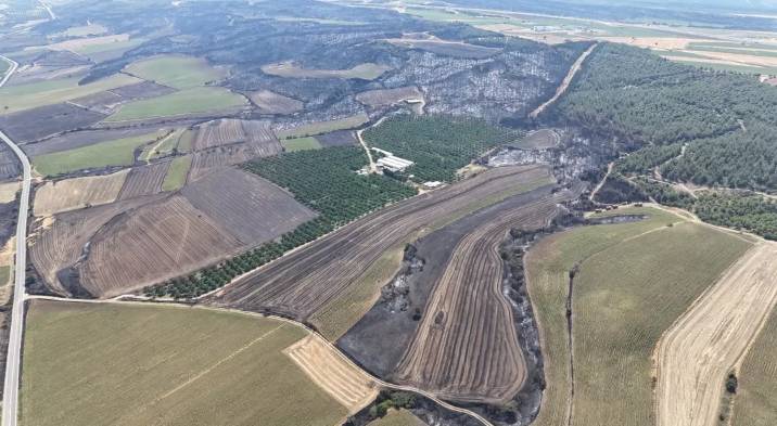 Tekirdağ'dan Çanakkale'ye sıçrayan ve 37 saat süren orman yangını sonrası kahreden manzara! Tam 119 futbol sahası büyüklüğünde.. 4