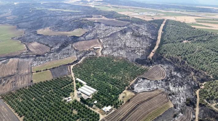 Tekirdağ'dan Çanakkale'ye sıçrayan ve 37 saat süren orman yangını sonrası kahreden manzara! Tam 119 futbol sahası büyüklüğünde.. 3