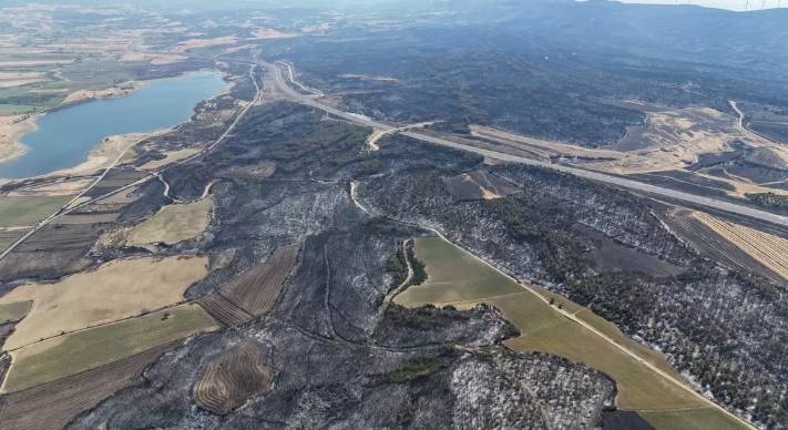 Tekirdağ'dan Çanakkale'ye sıçrayan ve 37 saat süren orman yangını sonrası kahreden manzara! Tam 119 futbol sahası büyüklüğünde.. 14