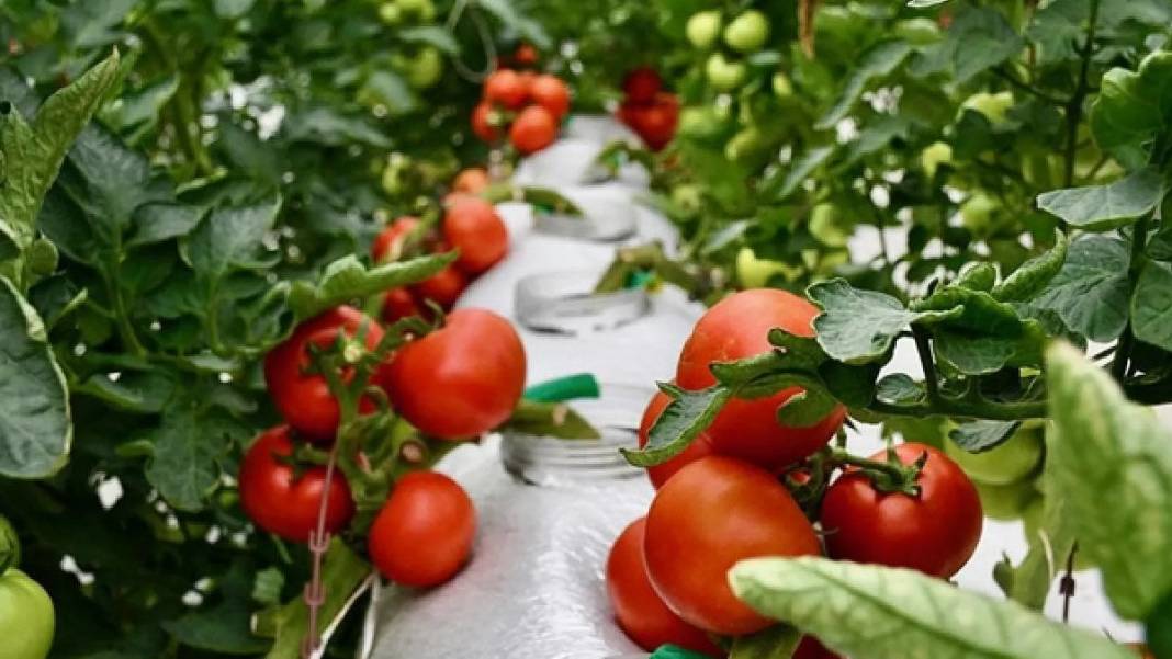 Ticaret Bakanlığı'ndan kritik hamle: 1 Ağustos'ta başlıyor 11