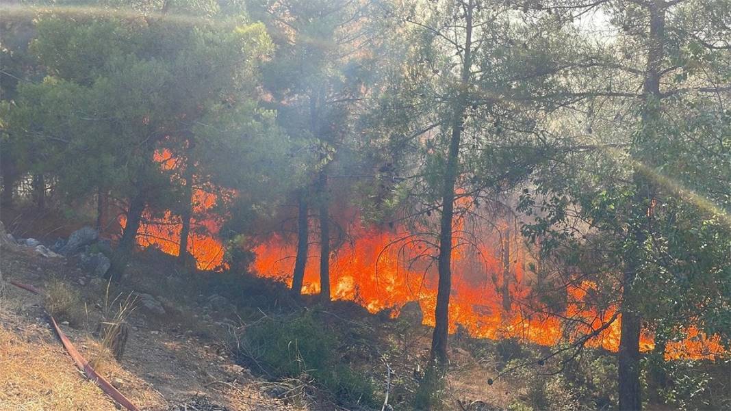 Sakarya ve Bilecik'teki orman yangını büyüyor! Yeni görüntüler geldi 2