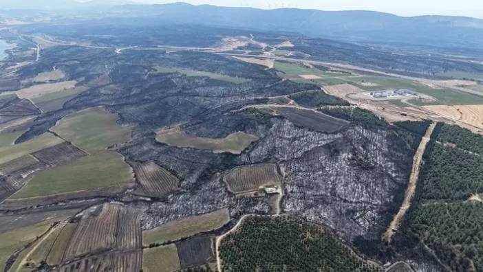 Tekirdağ'dan Çanakkale'ye sıçrayan ve 37 saat süren orman yangını sonrası kahreden manzara! Tam 119 futbol sahası büyüklüğünde.. 13