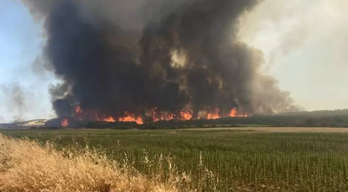 Tekirdağ'dan Çanakkale'ye sıçrayan ve 37 saat süren orman yangını sonrası kahreden manzara! Tam 119 futbol sahası büyüklüğünde.. 15