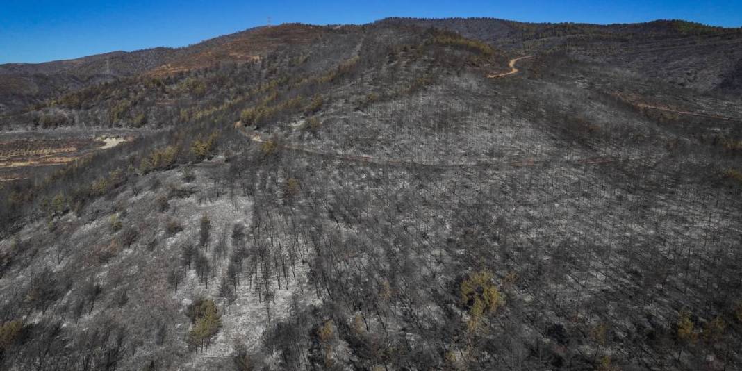 Hatay'daki yangında acı bilanço havadan görüntülendi 13