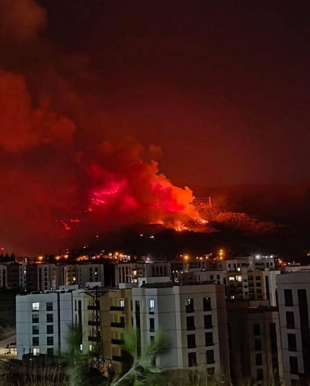 Hatay'daki yangından korkunç görüntüler: Alevler her yeri sardı 11