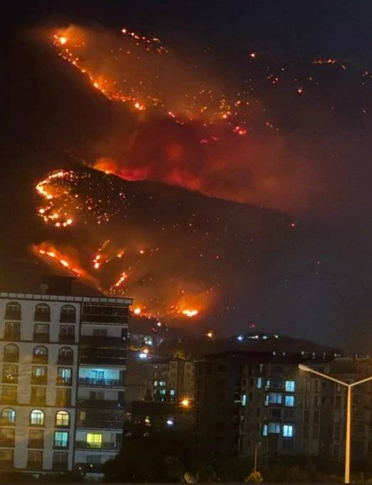 Hatay'daki yangından korkunç görüntüler: Alevler her yeri sardı 8