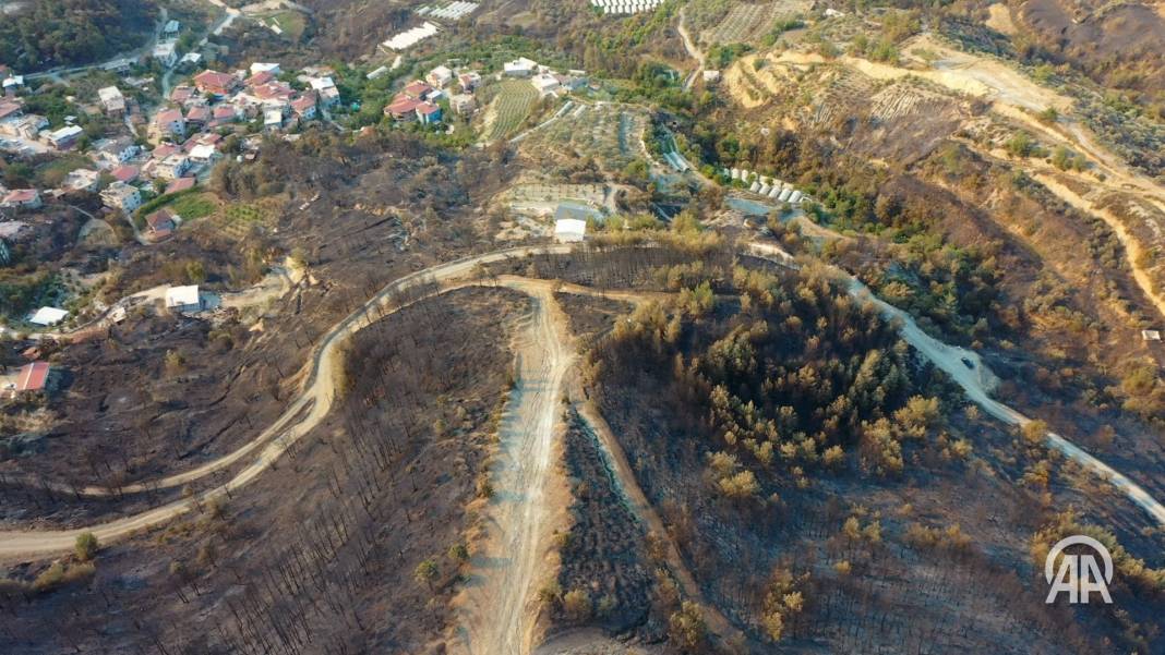 Hatay'daki yangından korkunç görüntüler: Alevler her yeri sardı 4