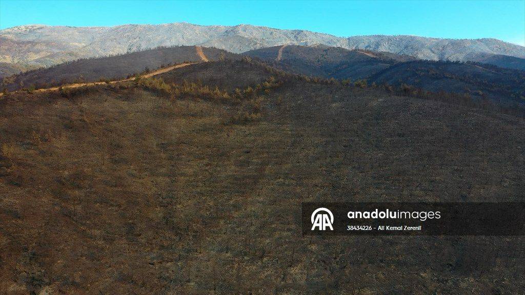 Hatay'daki yangından korkunç görüntüler: Alevler her yeri sardı 7