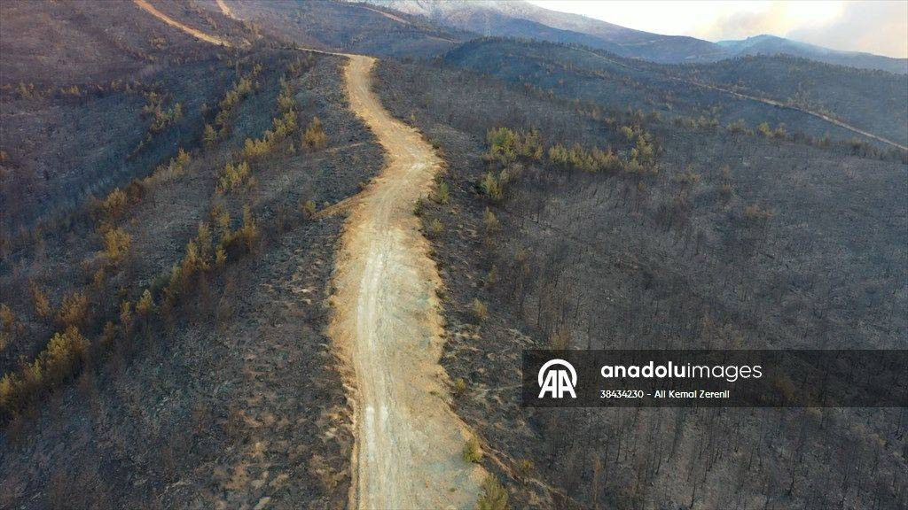 Hatay'daki yangından korkunç görüntüler: Alevler her yeri sardı 6