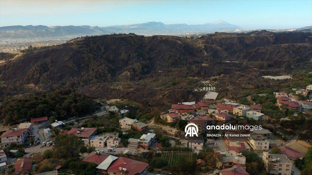 Hatay'daki yangından korkunç görüntüler: Alevler her yeri sardı 2