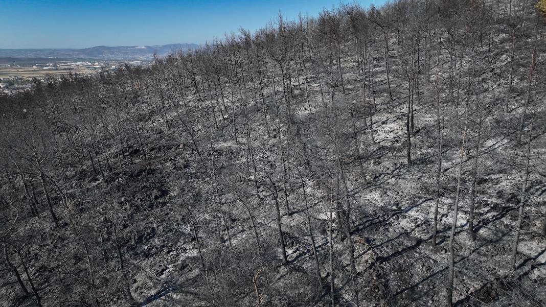 Hatay'daki yangında acı bilanço havadan görüntülendi 8