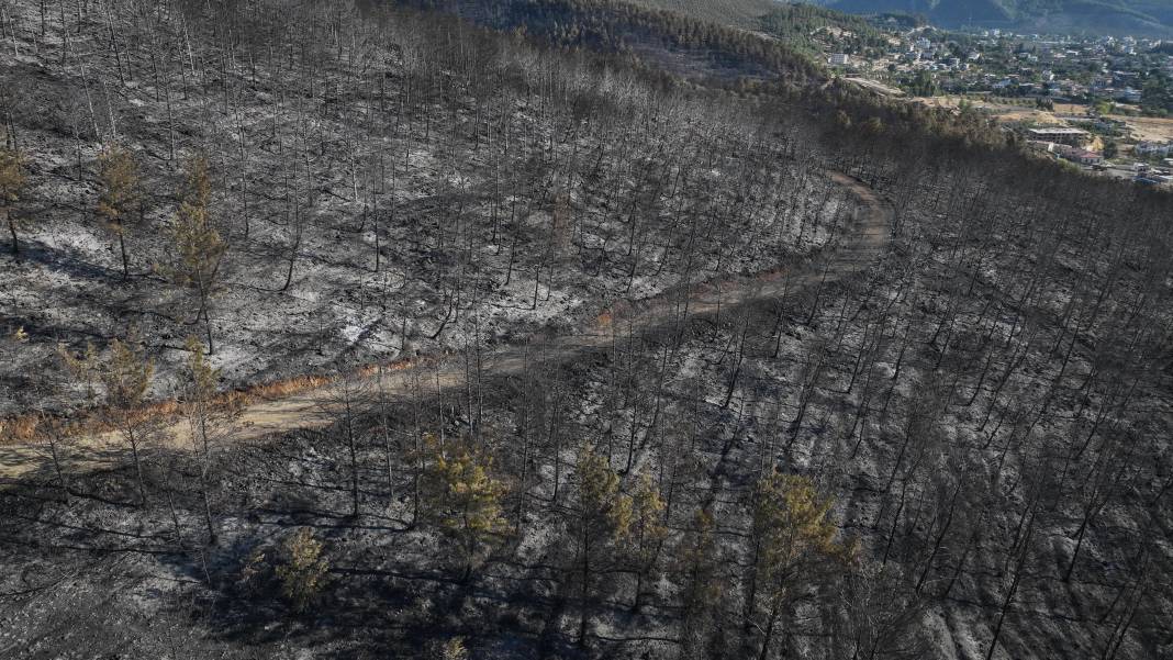 Hatay'daki yangında acı bilanço havadan görüntülendi 6
