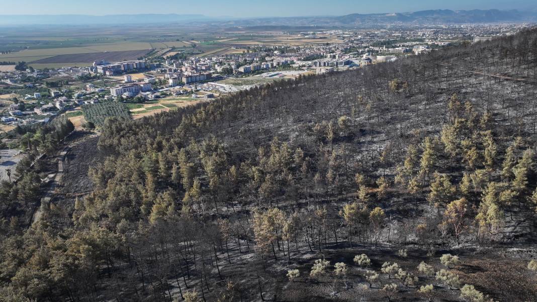 Hatay'daki yangında acı bilanço havadan görüntülendi 5