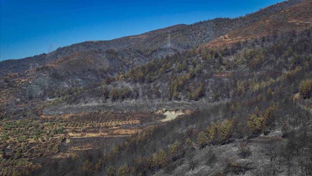Hatay'daki yangında acı bilanço havadan görüntülendi 1