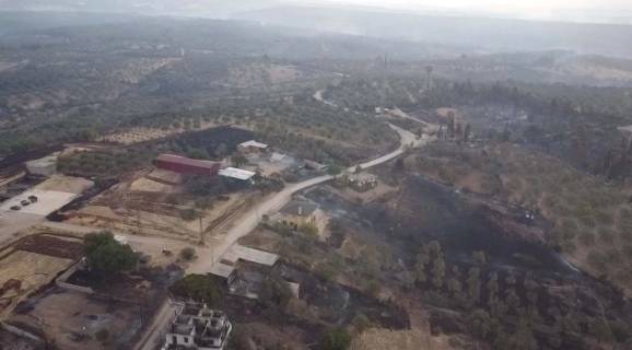 Çanakkale'deki orman yangını 25 saat sonra söndürülmüştü! Yürek yakan görüntüler ortaya çıktı 14