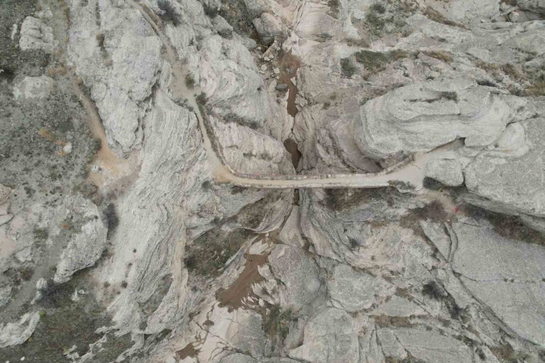 Türkiye'de yalnızca 2 tane bulunuyor: Hem görüntüsü hem adı korkunç 6