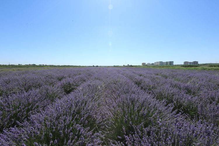 Türkiye'deki şehirlerin en güzel ilçeleri listelendi: Bakın en güzelleri hangisi oldu? 61