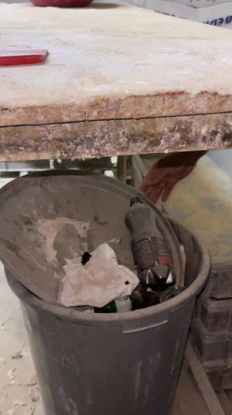 Fırınlarda dehşet manzara! Zabıta tek tek böcekleri saydı 6