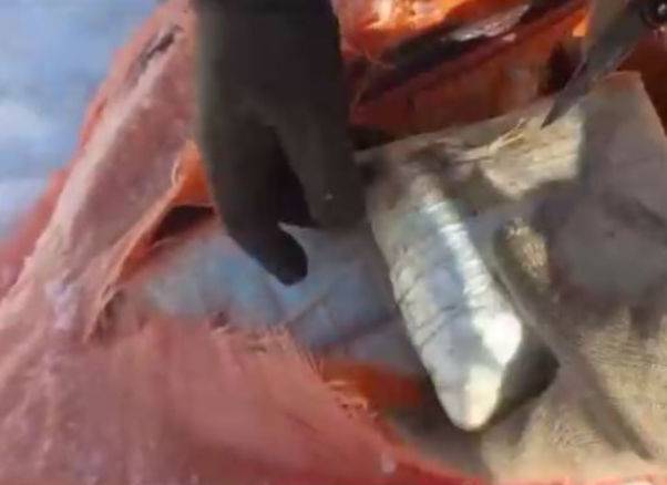 Kar ve tipinin içinde tam 348 kilo ele geçirildi: Zulaları bir bir patlatıldı 2