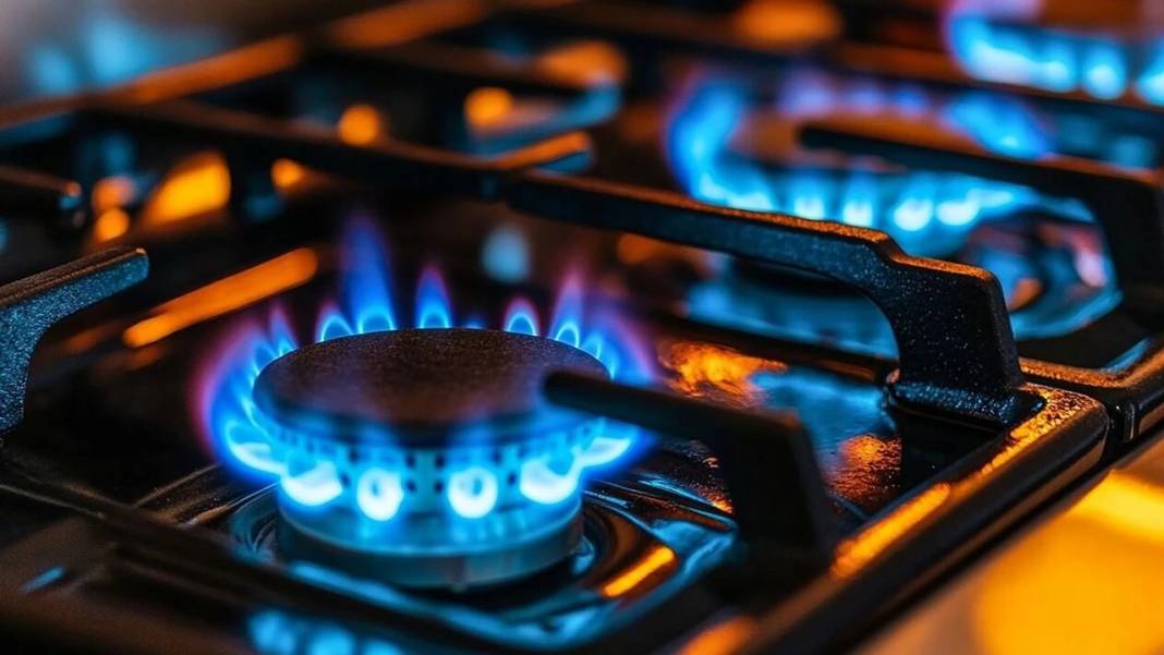 Doğalgazda kademeli tarife dönemi: 11 soruda yeni sistem 8