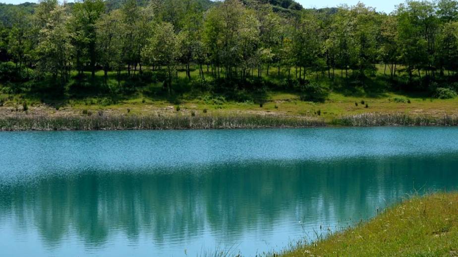 Tatil için gidiyorlar, yerleşip kalıyorlar: Huzurun adresi 29 ilçe 16