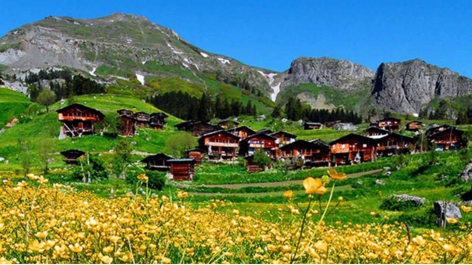Tatil için gidiyorlar, yerleşip kalıyorlar: Huzurun adresi 29 ilçe 20