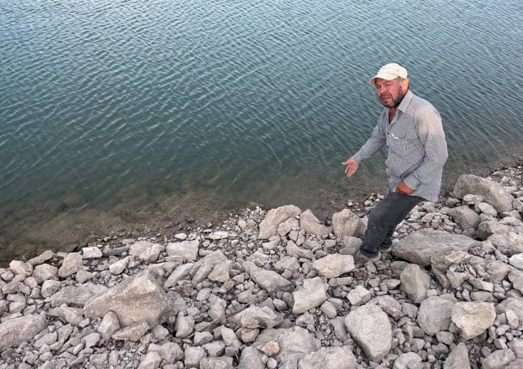 Yüzlerce balık kıyıya vurdu: Baraj gölünde dikkat çeken olay 3