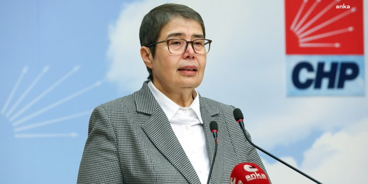 CHP’li Şahbaz: Kayyuma her yerde karşıyız, halkın yanındayız